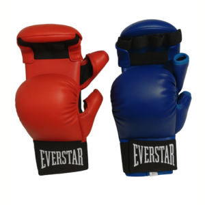 Karate gloves (mitts)