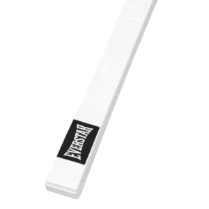 Karate Belt