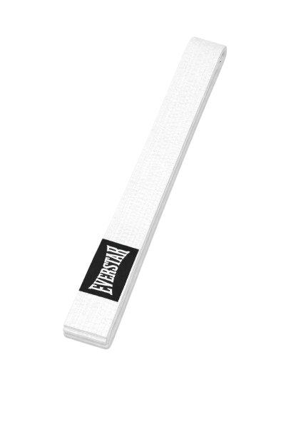 Karate Belt